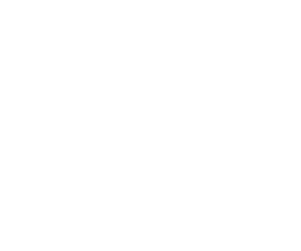 OutVets